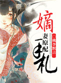 嫡妻原配手札讲的什么